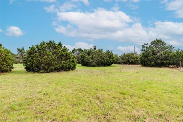 view of yard featuring a rural view