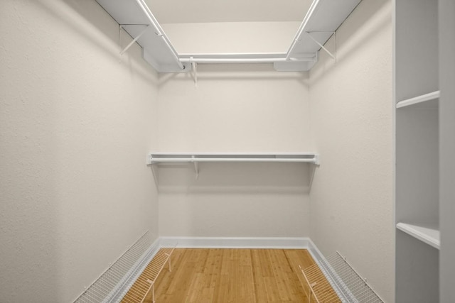 walk in closet featuring hardwood / wood-style flooring