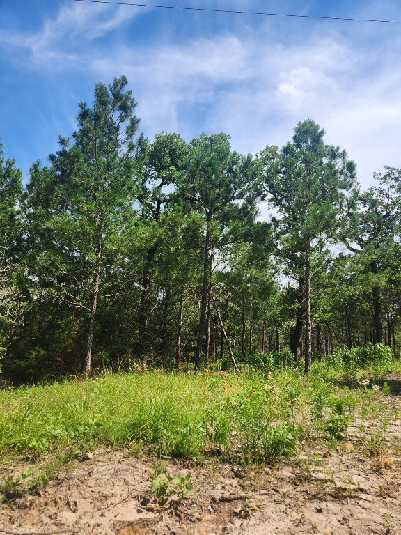 124 Paintbrush Ln, Bastrop TX, 78602 land for sale