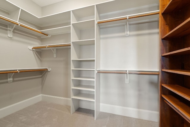 walk in closet featuring carpet floors