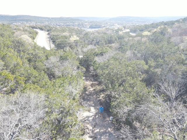 17442 E Reed Park Rd, Jonestown TX, 78645 land for sale