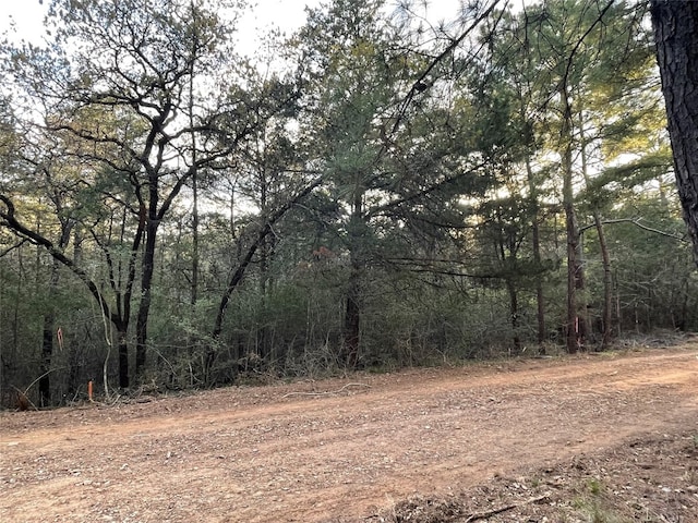 Listing photo 3 for LOT1305 Hanauma Dr, Bastrop TX 78602