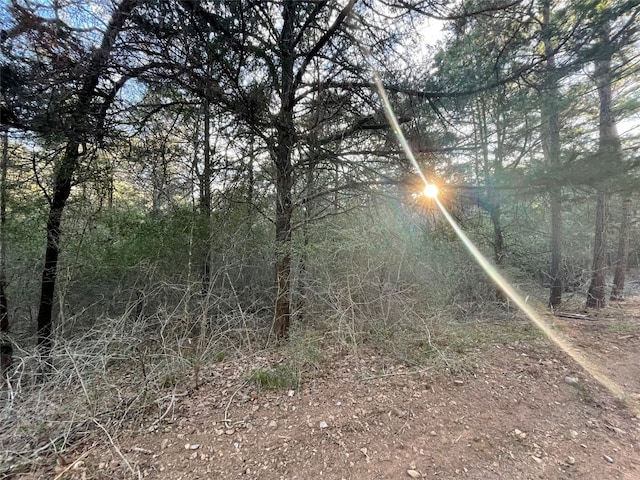 Listing photo 2 for LOT1305 Hanauma Dr, Bastrop TX 78602