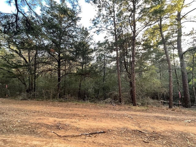 LOT1305 Hanauma Dr, Bastrop TX, 78602 land for sale