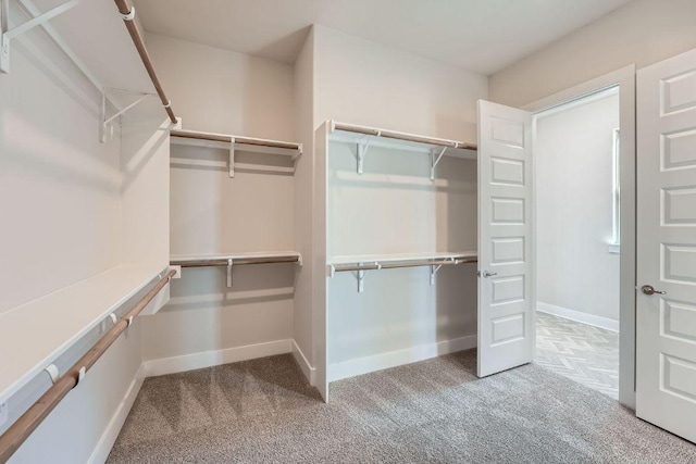 walk in closet with carpet flooring
