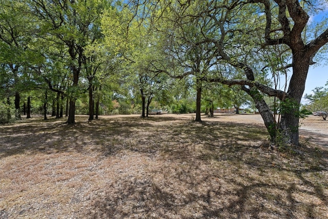 442 S Bear Creek Rd, Liberty Hill TX, 78642 land for sale