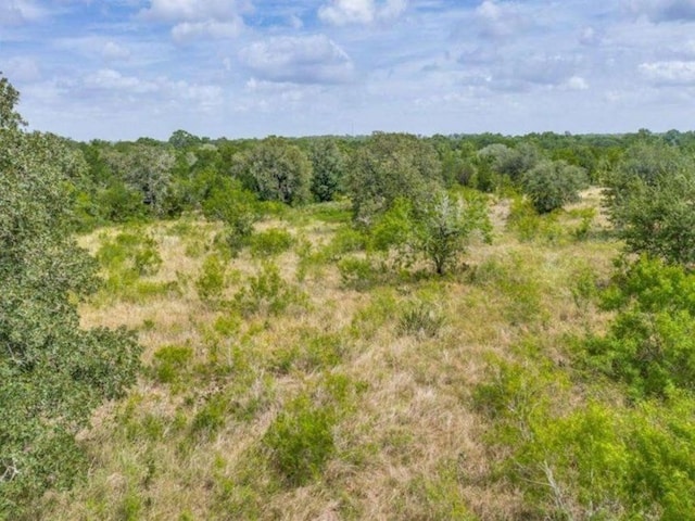 Listing photo 3 for 1452 Tumbleweed Trl, Dale TX 78616