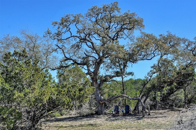 Listing photo 2 for 1025 Pursley Rd, Dripping Springs TX 78620