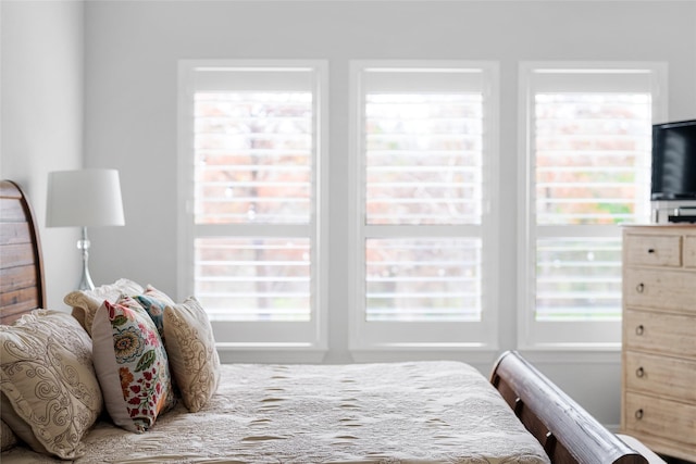 bedroom featuring multiple windows