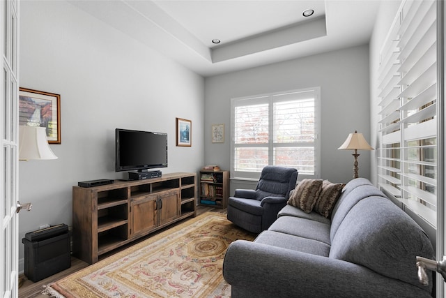 living room with hardwood / wood-style floors and a tray ceiling