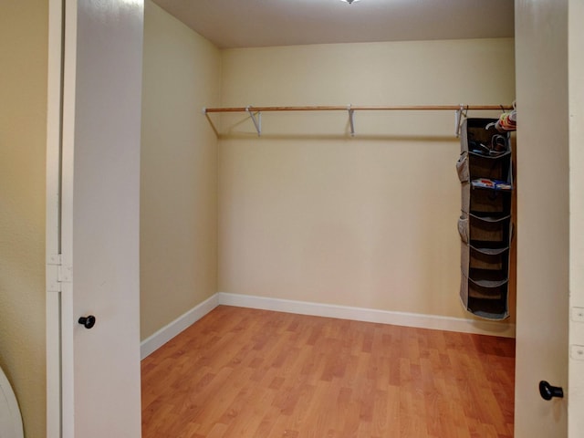 walk in closet with light wood-type flooring