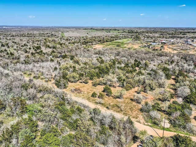 TBD Royal Drive, Dale TX, 78616 land for sale