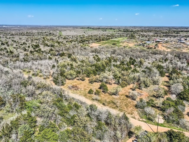 TBD Royal Drive, Dale, TX 78616 - photo 1