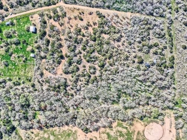 TBD Royal Drive, Dale, TX 78616 - photo 2