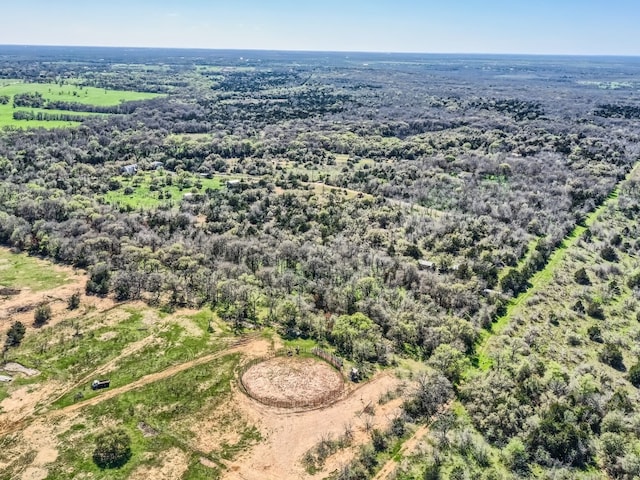 TBD Royal Drive, Dale, TX 78616 - photo 3