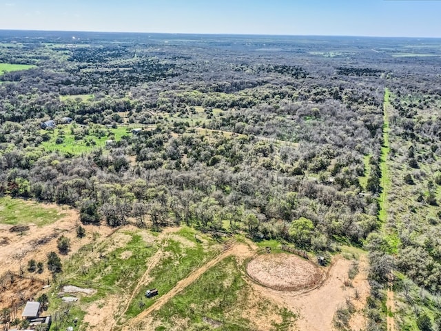 TBD Royal Drive, Dale, TX 78616 - photo 4