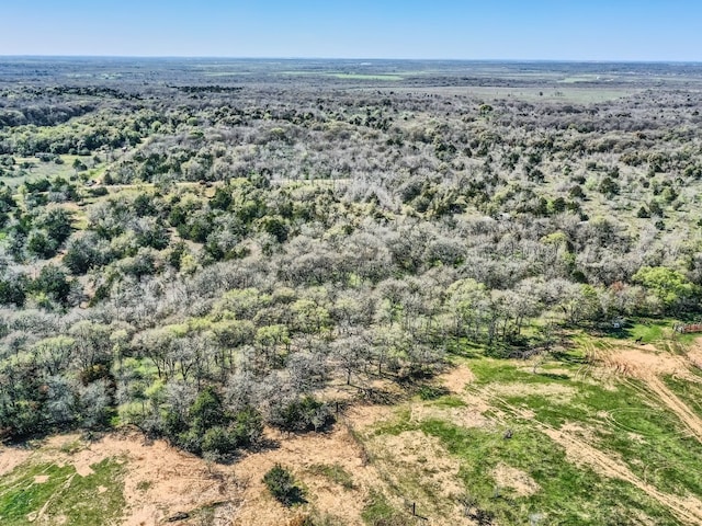 TBD Royal Drive, Dale, TX 78616 - photo 6