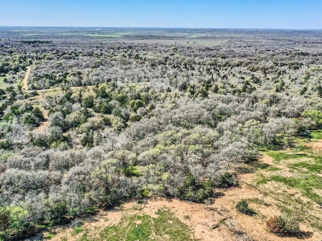 TBD Royal Drive, Dale, TX 78616 - photo 7