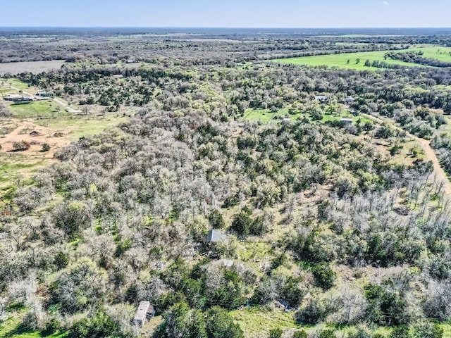 TBD Royal Drive, Dale, TX 78616 - photo 8