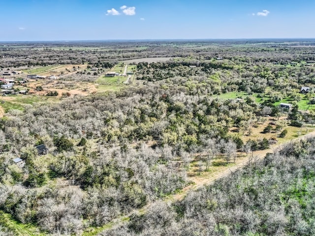 TBD Royal Drive, Dale, TX 78616 - photo 9