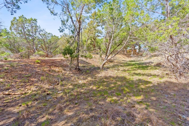 21608 Orlando Cv, Lago Vista, TX 78645 - photo 10
