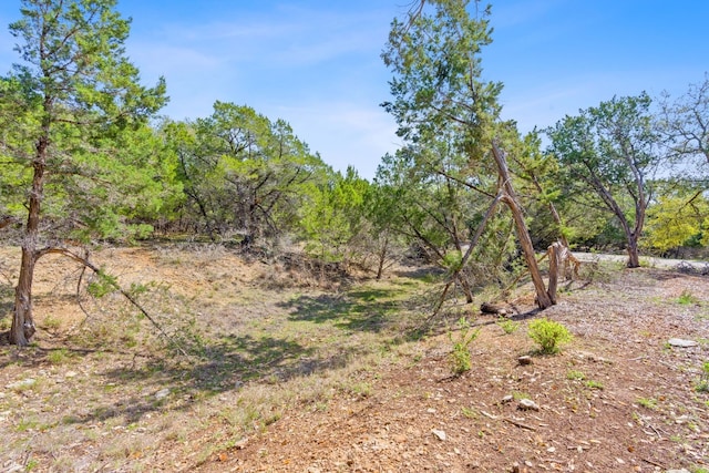 21608 Orlando Cv, Lago Vista, TX 78645 - photo 14