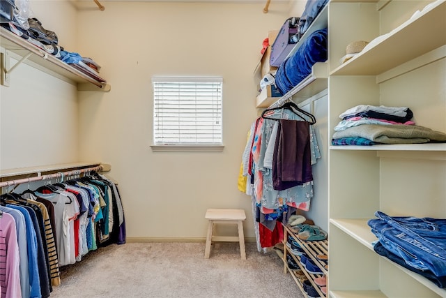 walk in closet featuring light colored carpet