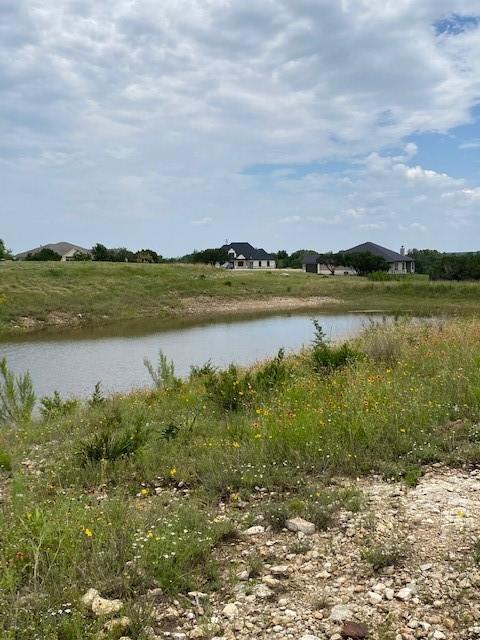 600 Buffalo Trl, Liberty Hill, TX 78642 - photo 4