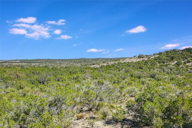 11201 Bonham Ranch Rd Unit 6And 8, Dripping Springs, TX 78620 - photo 5