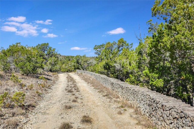 11201 Bonham Ranch Rd Unit 6And 8, Dripping Springs, TX 78620 - photo 6