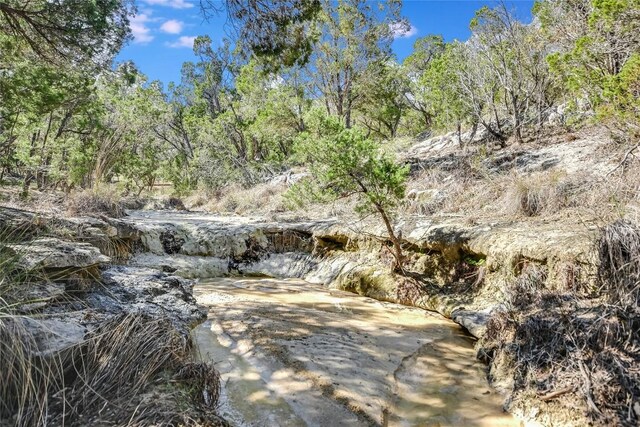 11201 Bonham Ranch Rd Unit 6And 8, Dripping Springs, TX 78620 - photo 7