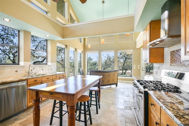 kitchen with sink, tasteful backsplash, wall chimney exhaust hood, appliances with stainless steel finishes, and light stone countertops