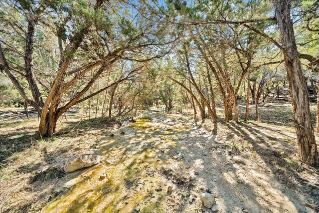 11201 Bonham Ranch Rd Unit 6And 8, Dripping Springs, TX 78620 - photo 38