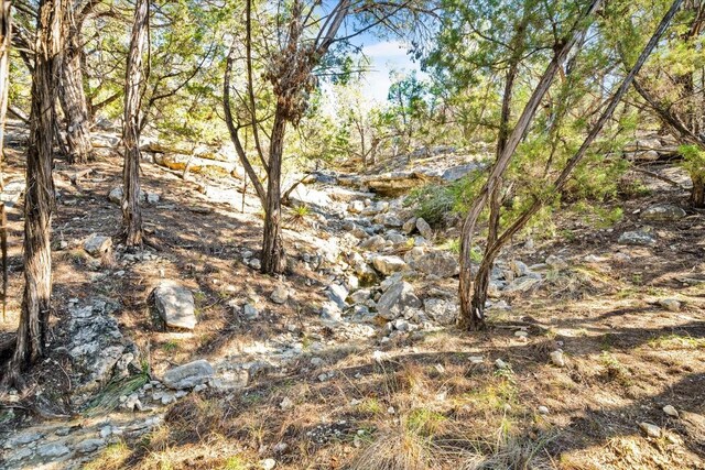 11201 Bonham Ranch Rd Unit 6And 8, Dripping Springs, TX 78620 - photo 39