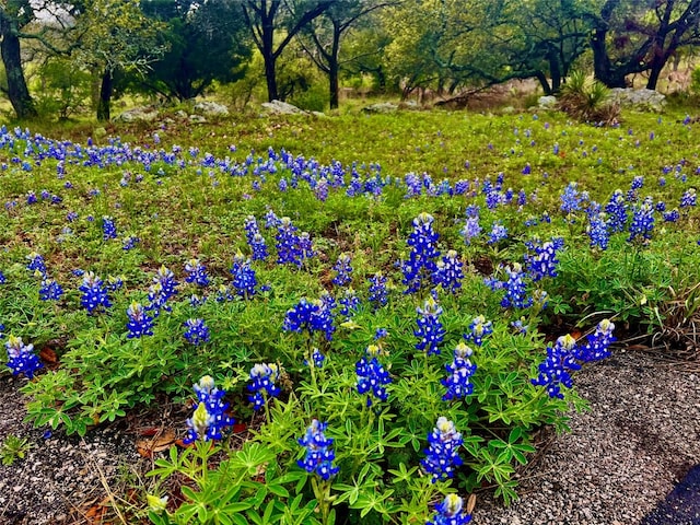 Listing photo 3 for 401 Desert Rose S, Horseshoe Bay TX 78657