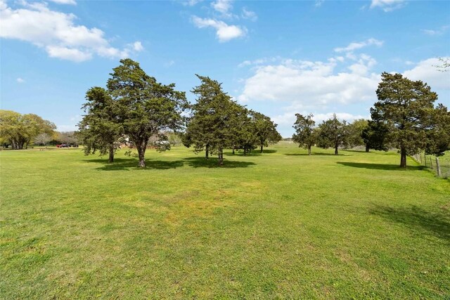 275 Saegert Rd, Paige, TX 78659 - photo 35