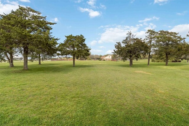 275 Saegert Rd, Paige, TX 78659 - photo 6