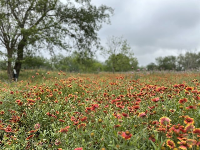 Listing photo 3 for 379 Vintners Way, Fredericksburg TX 78624