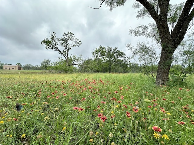 379 Vintners Way, Fredericksburg TX, 78624 land for sale