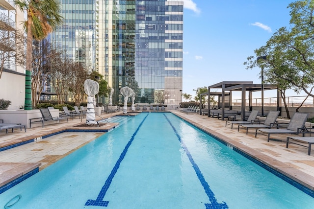 view of pool featuring a patio