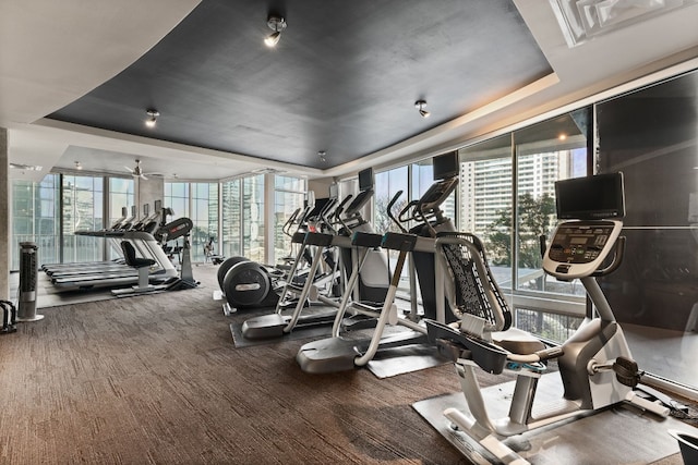 exercise room featuring a raised ceiling, a healthy amount of sunlight, and expansive windows