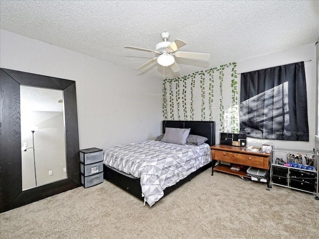 7825 Beauregard Cir Unit 5, Austin, TX 78745 - photo 10