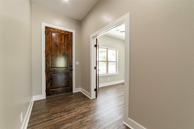 entrance foyer featuring dark hardwood / wood-style flooring