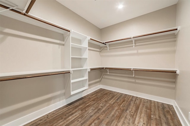 spacious closet featuring hardwood / wood-style floors