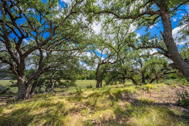 6477 S 783rd Rnch, Harper, TX 78631 - photo 12