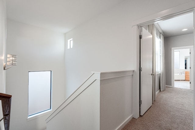 corridor with light colored carpet