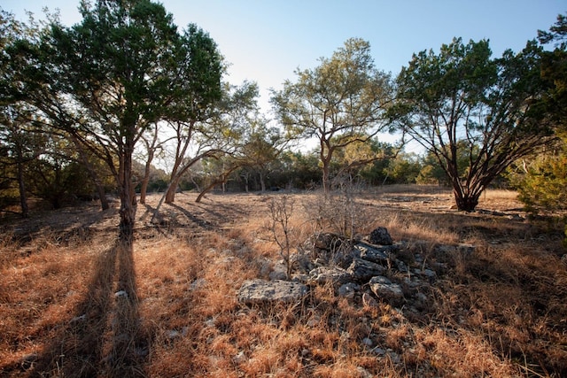 view of local wilderness featuring a rural view