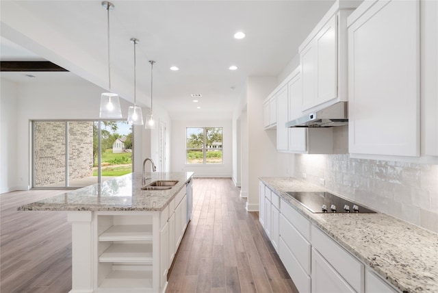 kitchen with black electric stovetop, ventilation hood, an island with sink, sink, and light hardwood / wood-style floors