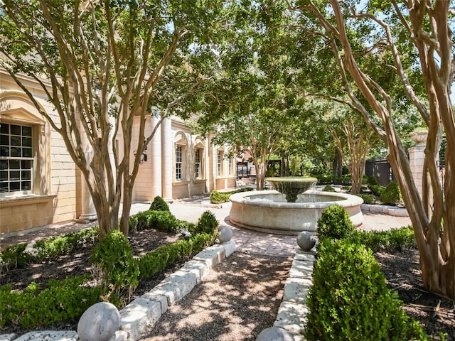 4511 Island Cv, Austin, TX 78731 - photo 4