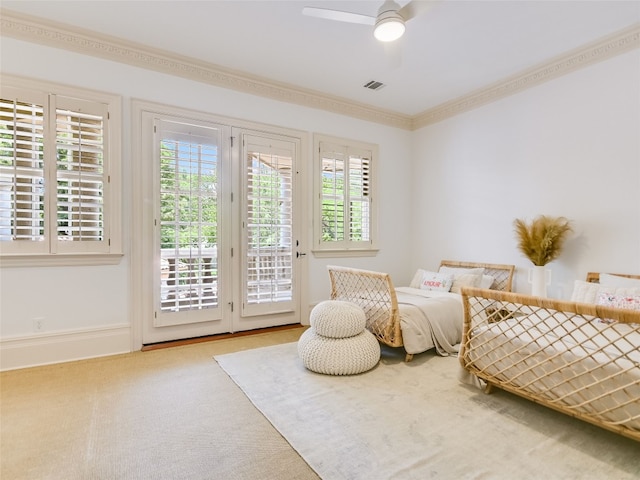 4511 Island Cv, Austin, TX 78731 - photo 18